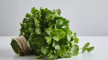 garnishing-instructions-image